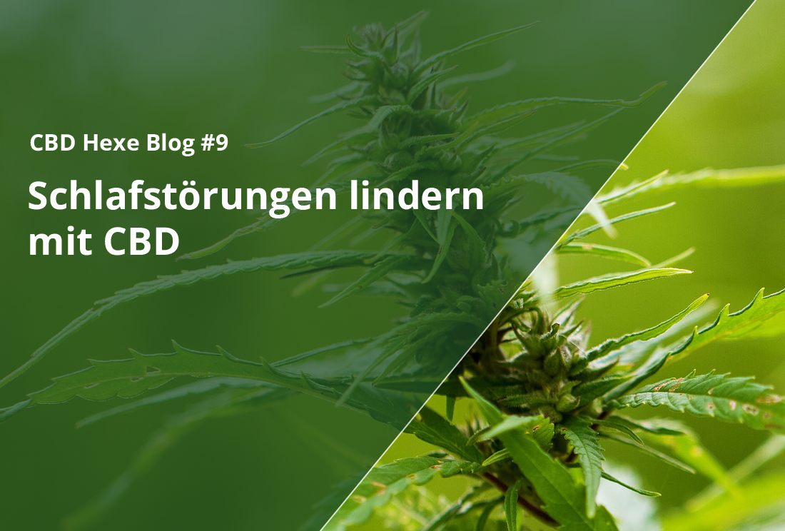 Schlafstörungen lindern mit CBD - CBD Hexe Onlinehandel