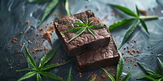 Cannabis Schoko-Brownies selber machen