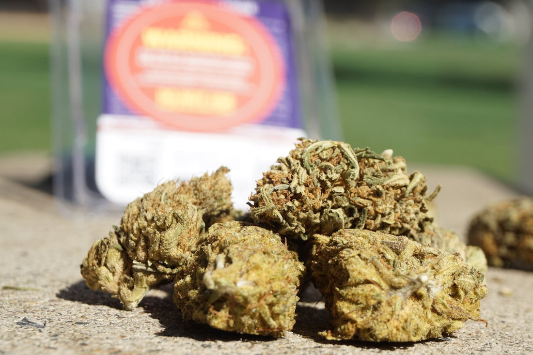 a bunch of weed sitting on the ground