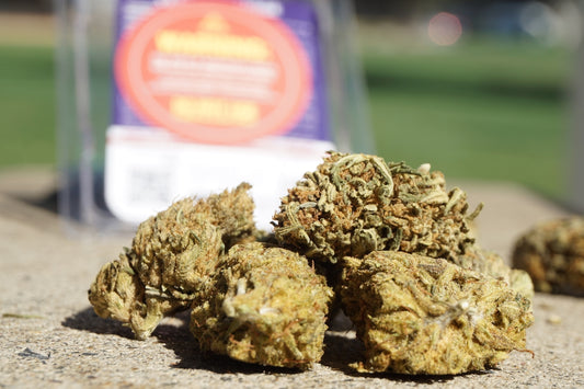 a bunch of weed sitting on the ground