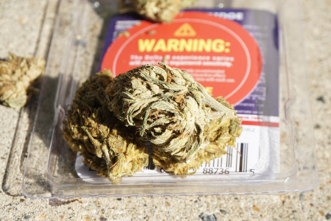 a package of marijuana buds sitting on a table