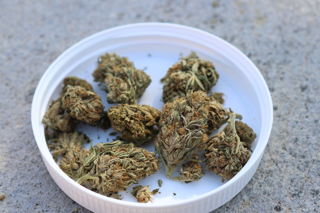 a bowl of dried herbs
