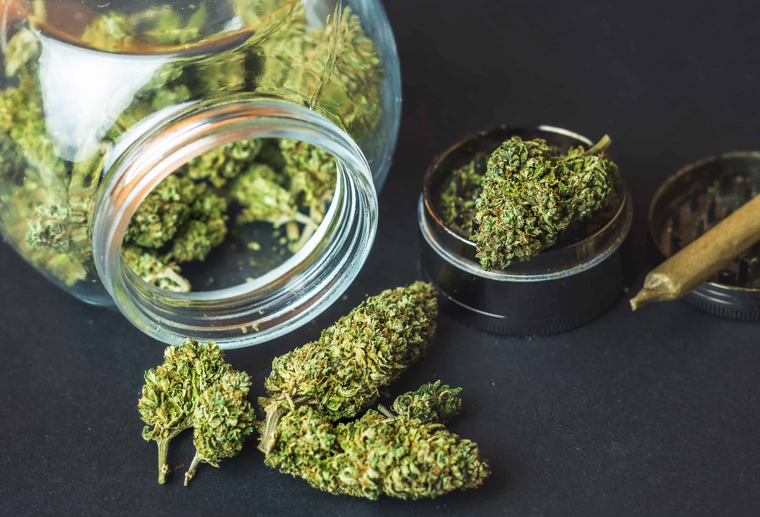 CBN Blüten - CBD Hexe Onlinehandel