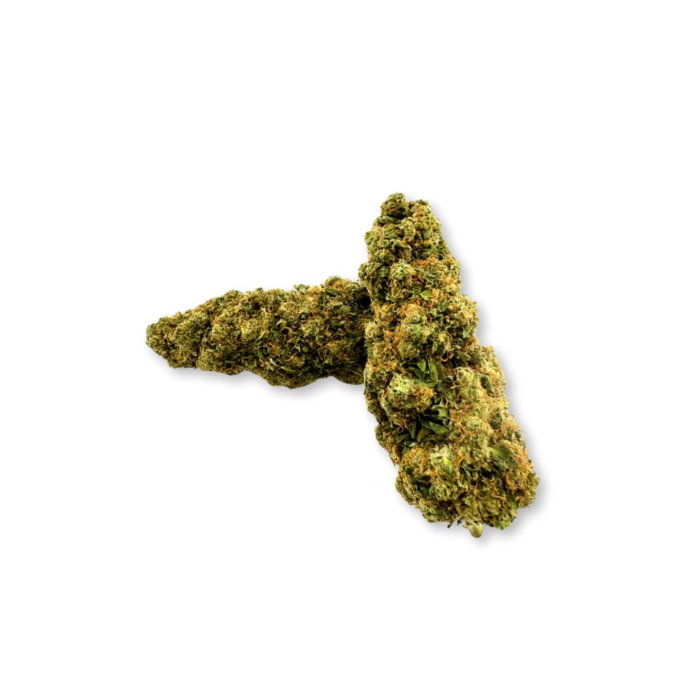 Premium CBD Blüten "Godzilla" | 16% CBD