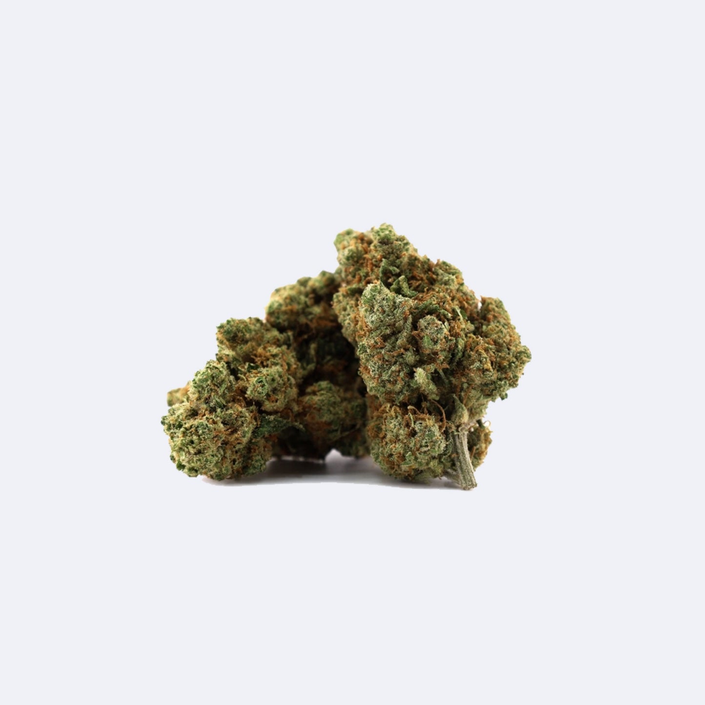 Amnesia | 40% 10-OH-HHC Blüten