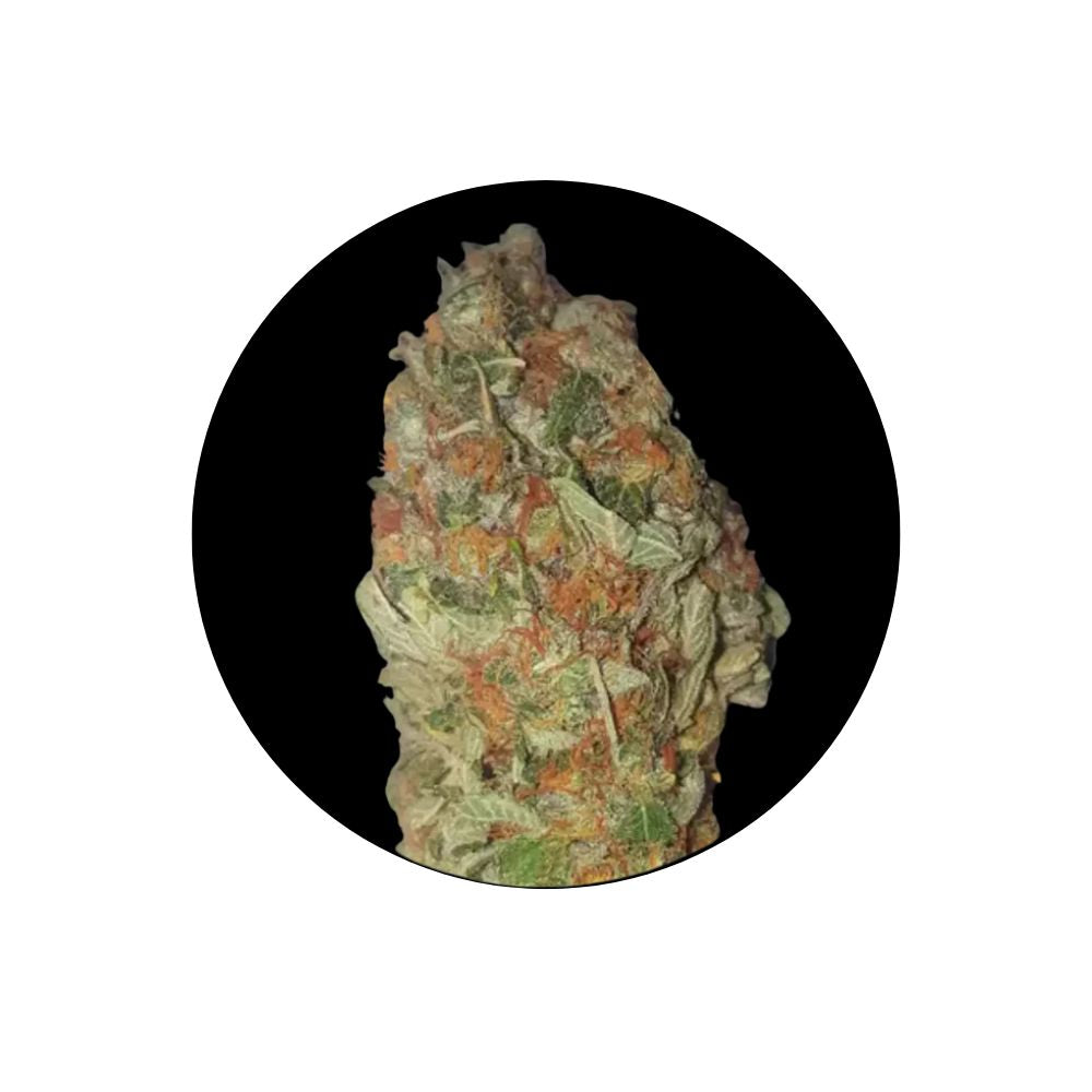 Cali Genetics "Candy Kush" - Feminized - 3 Stck.