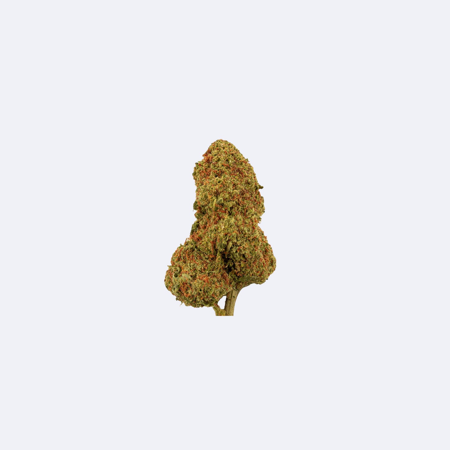 Candy Kush Premium CBD Blüten | 15% CBD