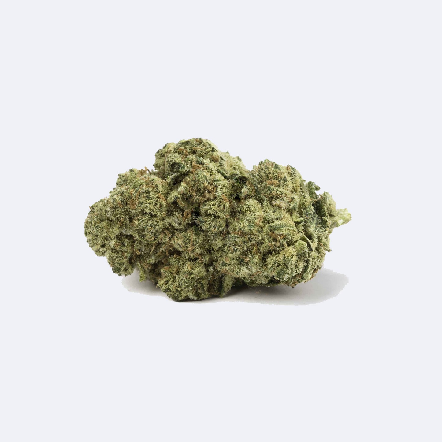 Cherry x V1 CBD Blüten | 7% CBD
