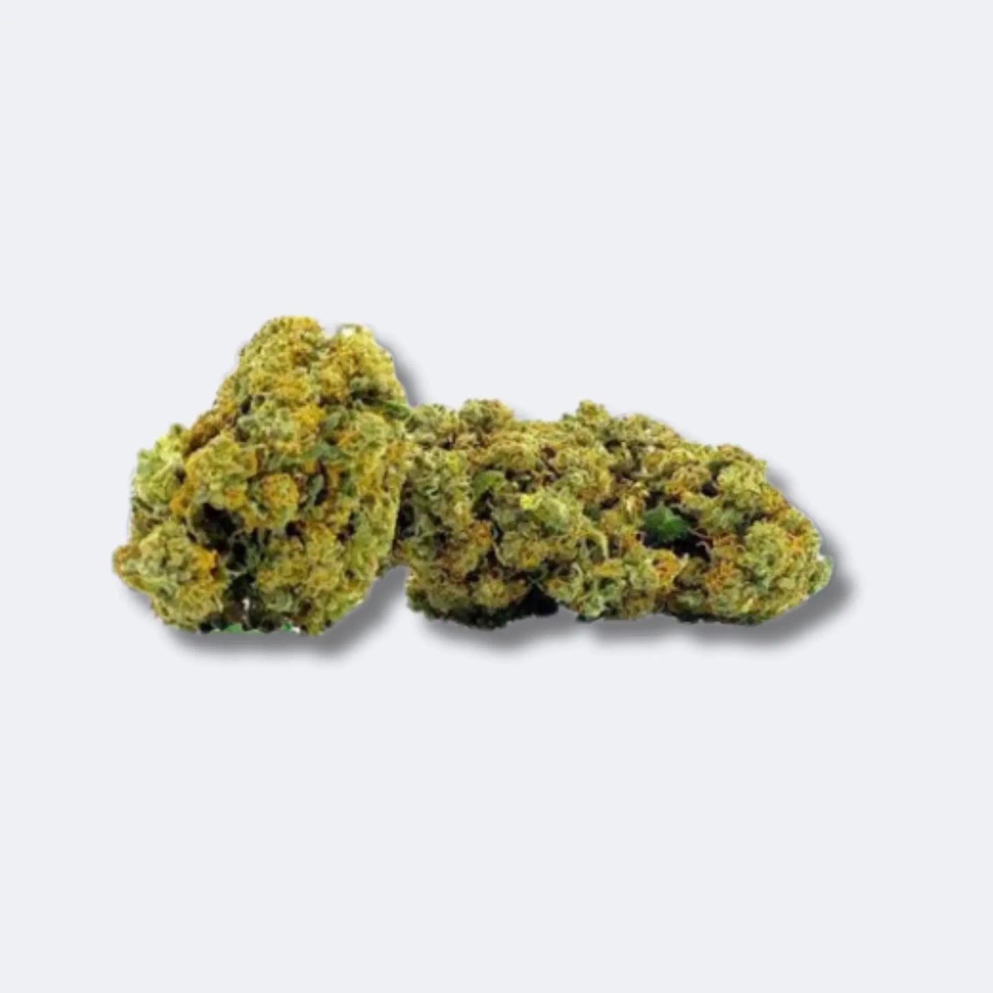 Orangello | 40% 10-OH-HHC Blüten