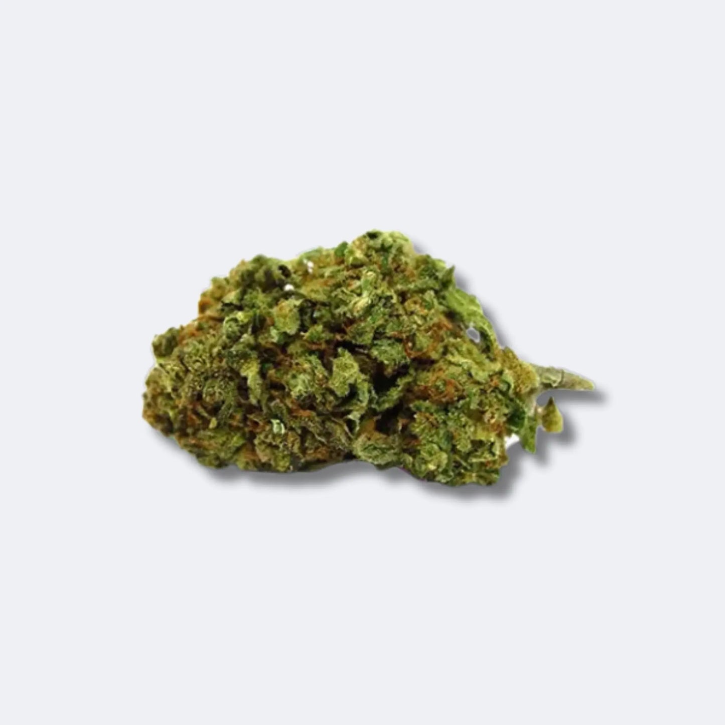 Strawberry | 40% 10-OH-HHC Blüten