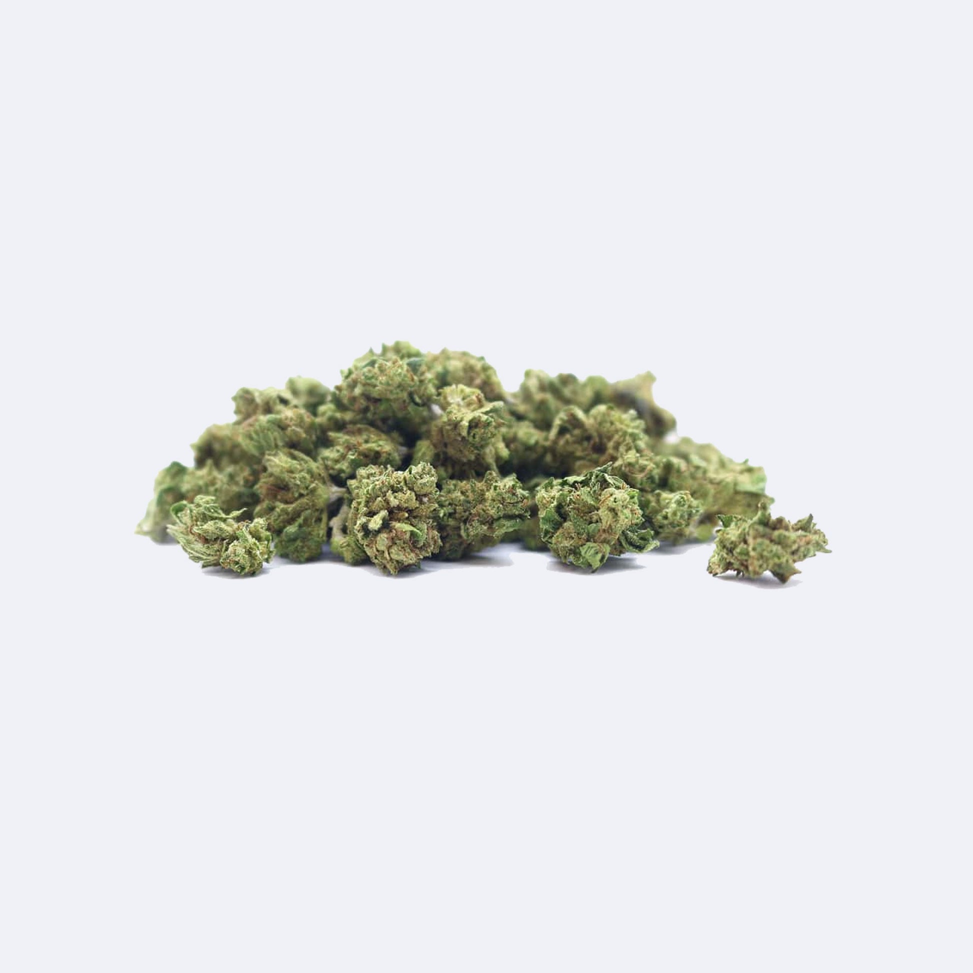 White Widow CBD Blüten | 20% CBD