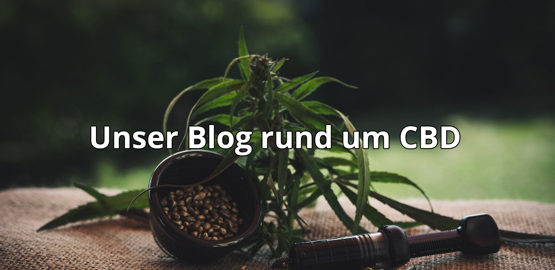 Wir informieren rund um das Thema CBD