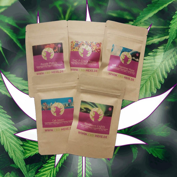 CBD Hexe Testpaket