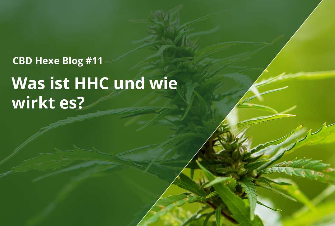 Was ist HHC? Und wie wirkt es? - CBD Hexe Onlinehandel