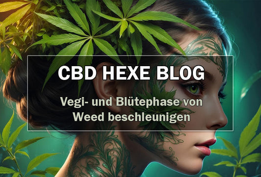 Vegi- und Blütephase von Weed beschleunigen