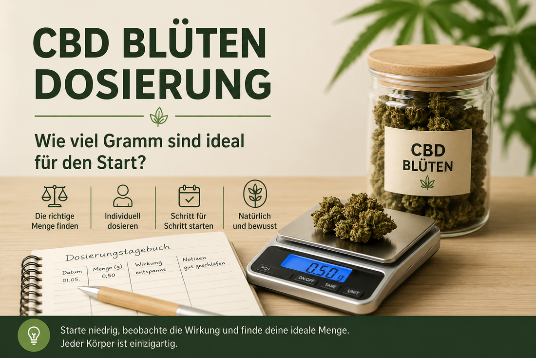 CBD Blüten Dosierung – Wie viel Gramm sind ideal für den Start?