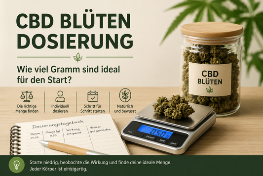 CBD Blüten Dosierung – Wie viel Gramm sind ideal für den Start?