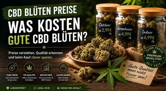 CBD Blüten Preise – Was kosten gute CBD Blüten?