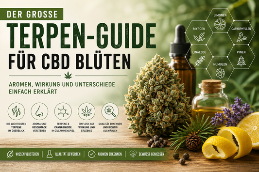 Der große Terpen-Guide für CBD Blüten – Aromen, Terpenprofile & Unterschiede einfach erklärt