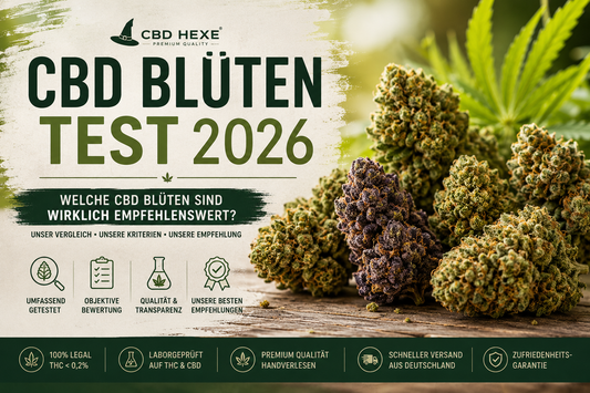 CBD Blüten Test 2026 – Welche CBD Blüten sind wirklich empfehlenswert?