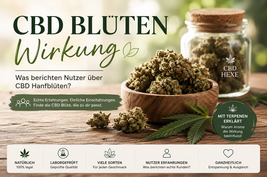 CBD Blüten Wirkung – Was berichten Nutzer über CBD Hanfblüten?