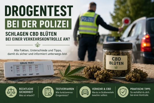 Drogentest bei der Polizei – Schlagen CBD Blüten bei einer Verkehrskontrolle an?