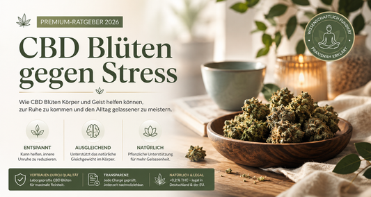 CBD Blüten gegen Stress