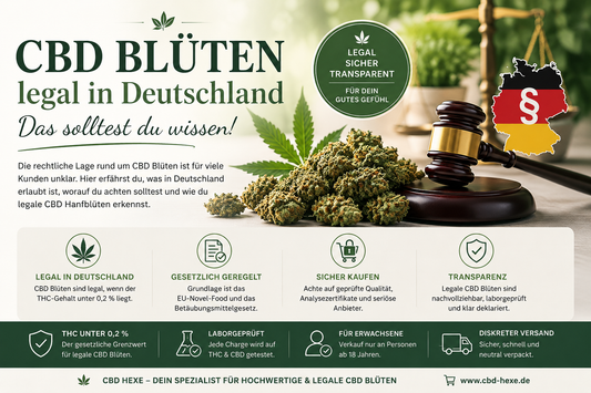 CBD Blüten legal in Deutschland – Was ist 2026 wichtig?