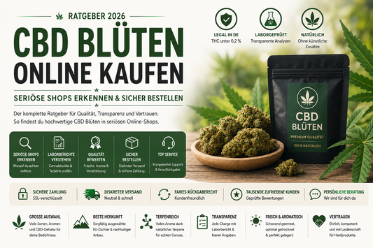 CBD Blüten online kaufen – Seriöse Shops erkennen