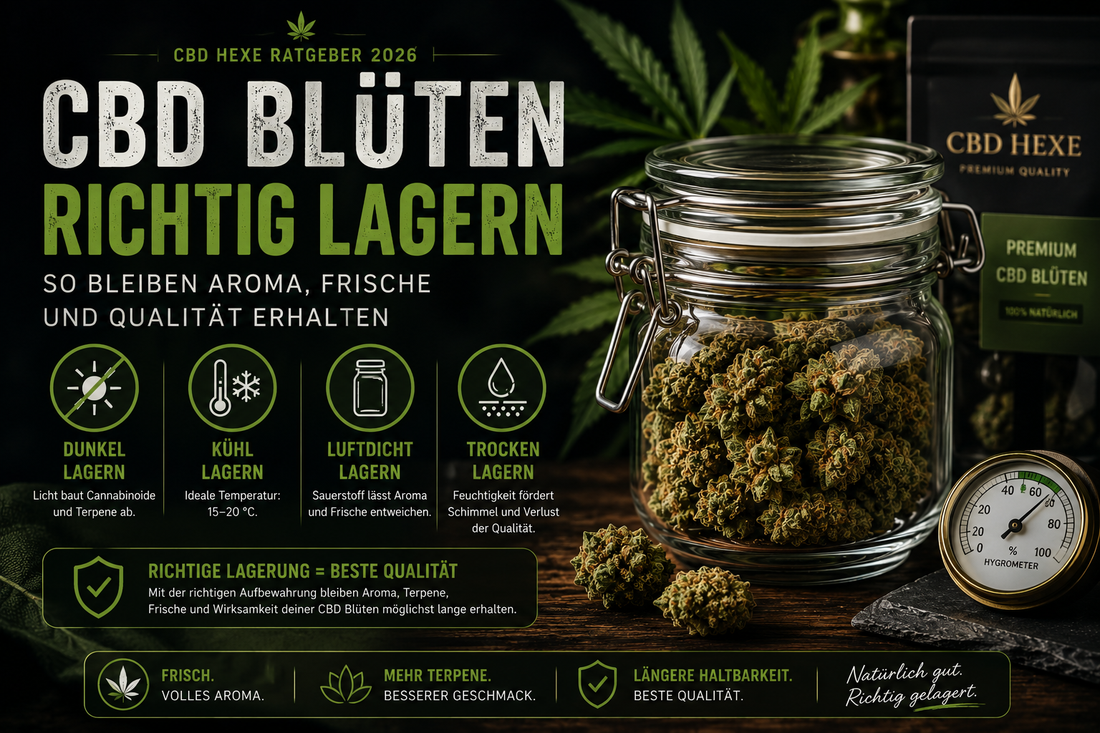 CBD Blüten richtig lagern – So bleiben Aroma, Frische und Qualität erhalten