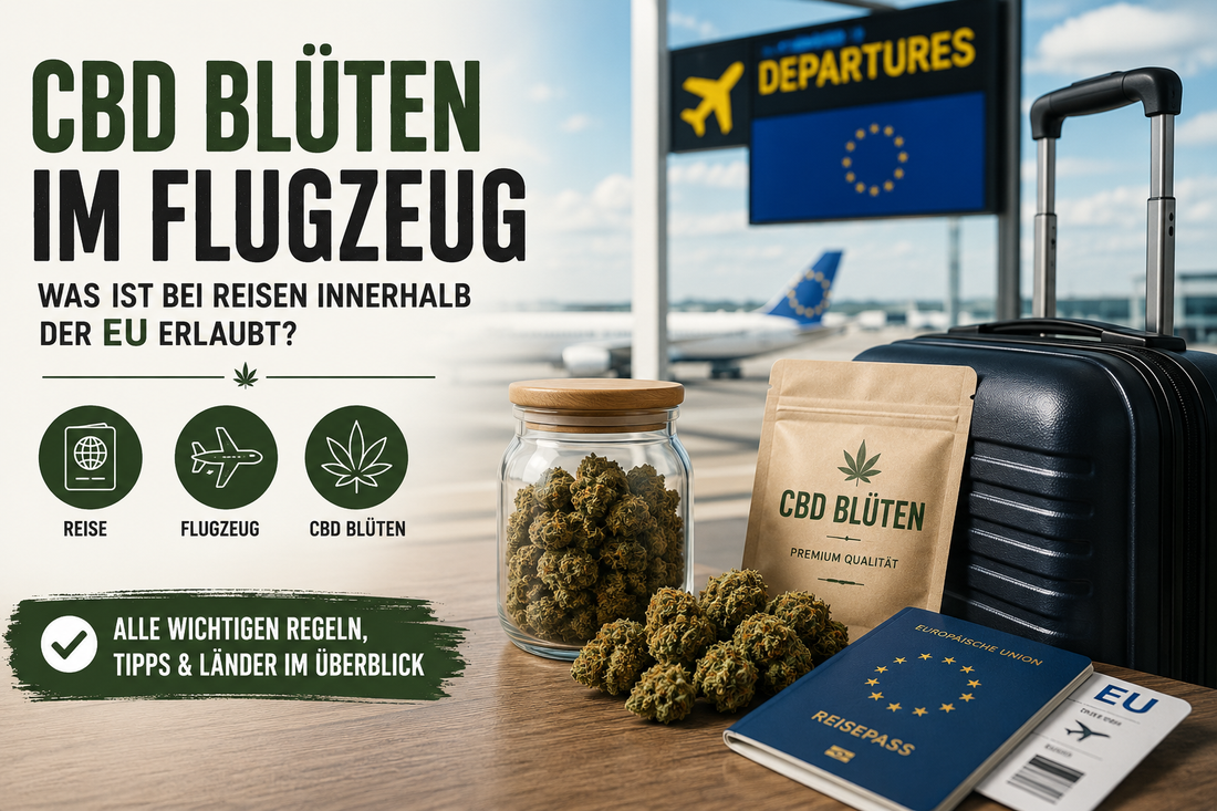 CBD Blüten im Flugzeug – Was ist bei Reisen innerhalb der EU erlaubt?