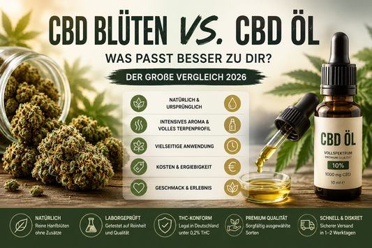 CBD Blüten vs CBD Öl – Was passt besser zu dir?