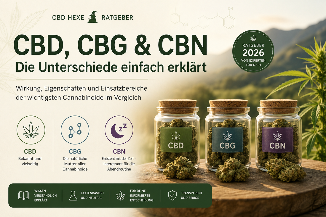 CBD, CBG und CBN – Die Unterschiede einfach erklärt