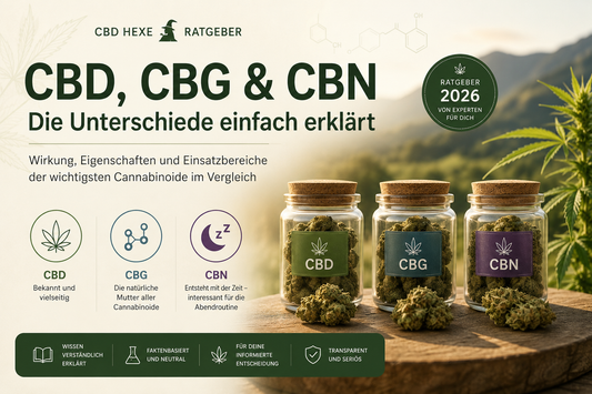 CBD, CBG und CBN – Die Unterschiede einfach erklärt