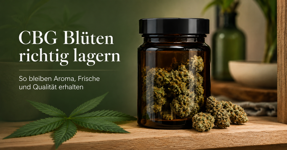 CBG Blüten richtig lagern: So bleiben Aroma, Frische und Qualität erhalten