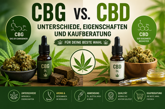 CBG und CBD Produkte im Vergleich mit Blüten und Öl