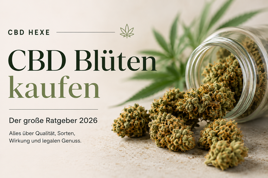 CBD Blüten kaufen – Der große Ratgeber 2026