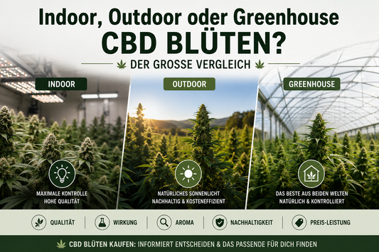 Indoor, Outdoor oder Greenhouse CBD Blüten? Der große Vergleich