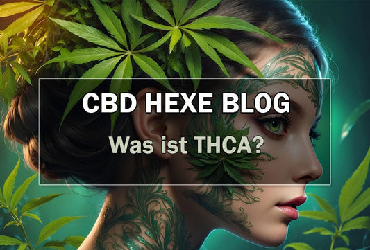 Was ist THCA? – Wirkung, Vorteile & THCA Blüten kaufen