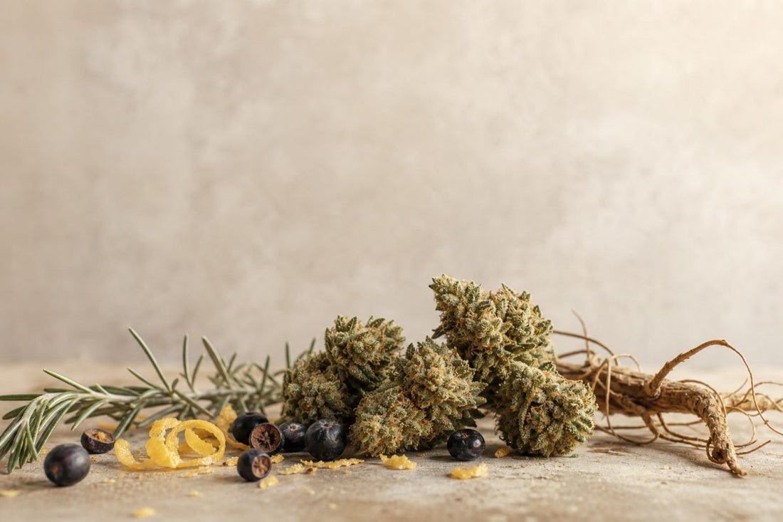CBD Blüten mit Zutaten als Sinnbild für unterschiedliche Aromarichtungen