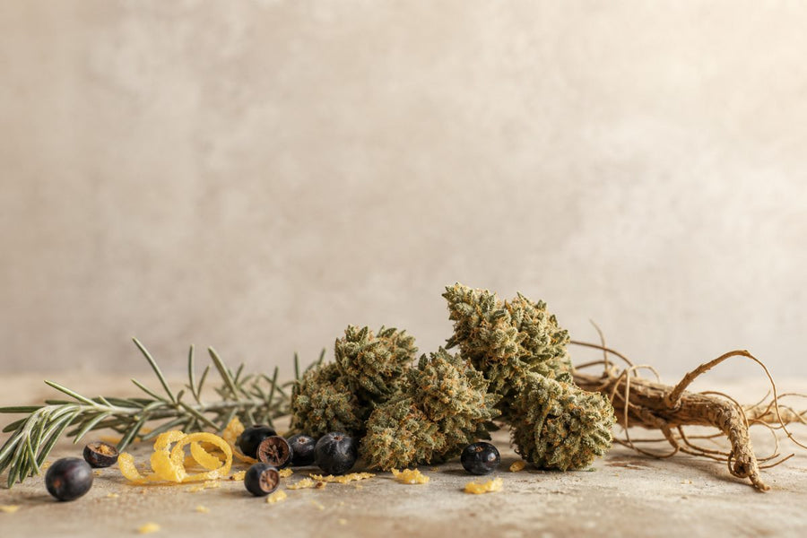 CBD Blüten nach Aroma auswählen: Dein Praxisguide