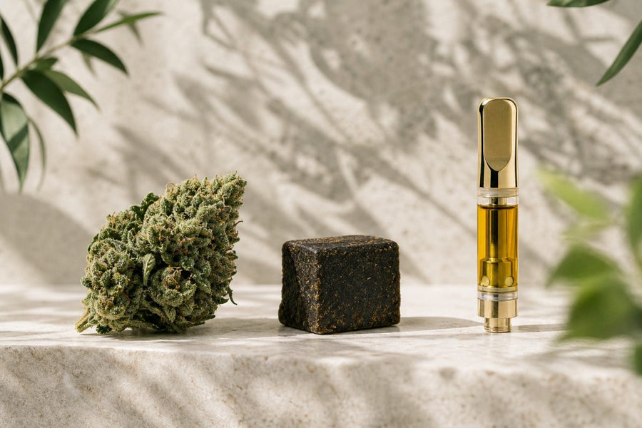 CBD Blüten, Hash oder Kartusche: Was passt besser zu dir?