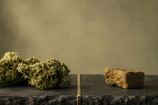 CBD Blüten und CBD Hash im neutralen Produktform-Vergleich