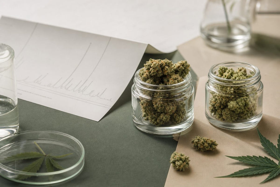 CBD Blüten oder THCA Blüten: Was ist der Unterschied?