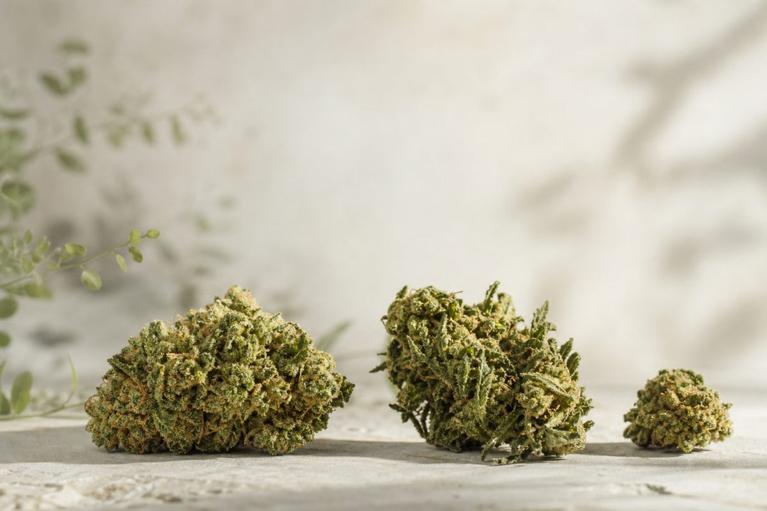 CBD Blüten mit unterschiedlicher natürlicher Struktur und Dichte