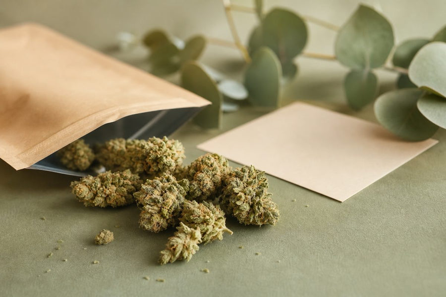 Sind CBD Blüten zum Rauchen gedacht? Was du wissen solltest