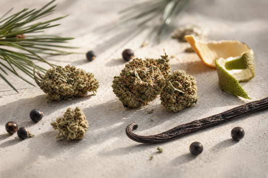 Hanfblüten mit botanischen Aroma-Elementen als Symbol für CBD Blüten Sortennamen