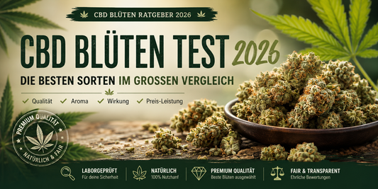 CBD Blüten Test 2026 – Die besten CBD Blüten im großen Vergleich
