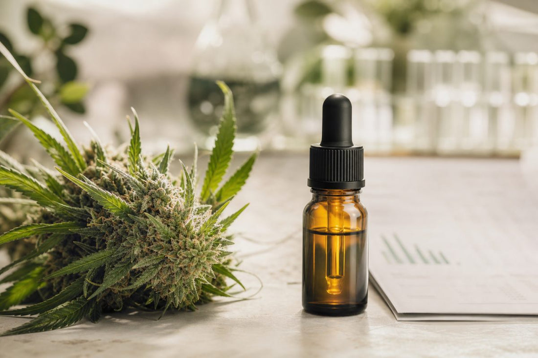 CBD Blüte neben Ölflasche als visueller Vergleich von Pflanzenmaterial und Extrakt