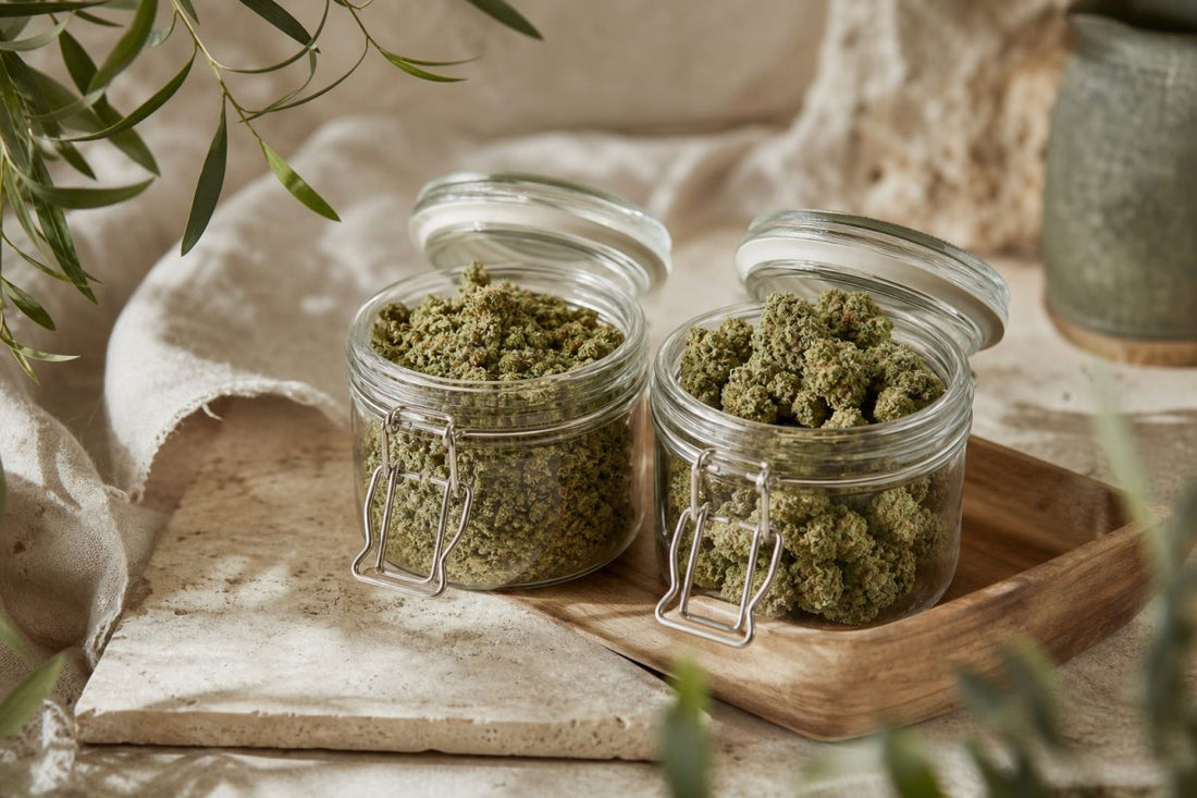 CBD Blüten mit unterschiedlich trockenem und feuchtem Eindruck in zwei neutralen Glasbehältern